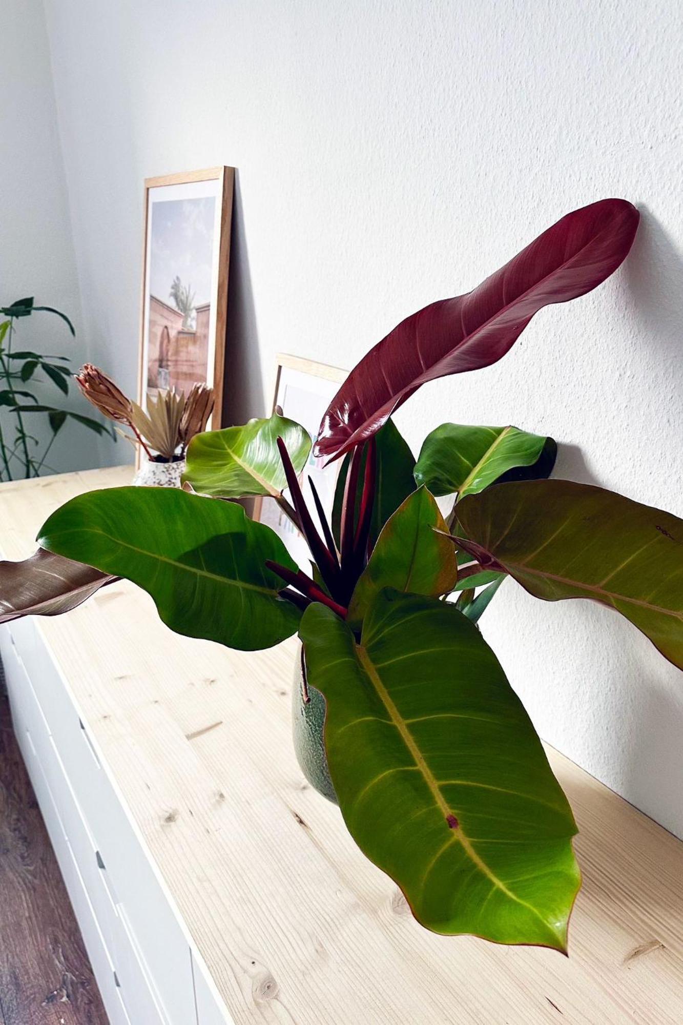 Business & Leisure Apartment Ingolstadt Luaran gambar