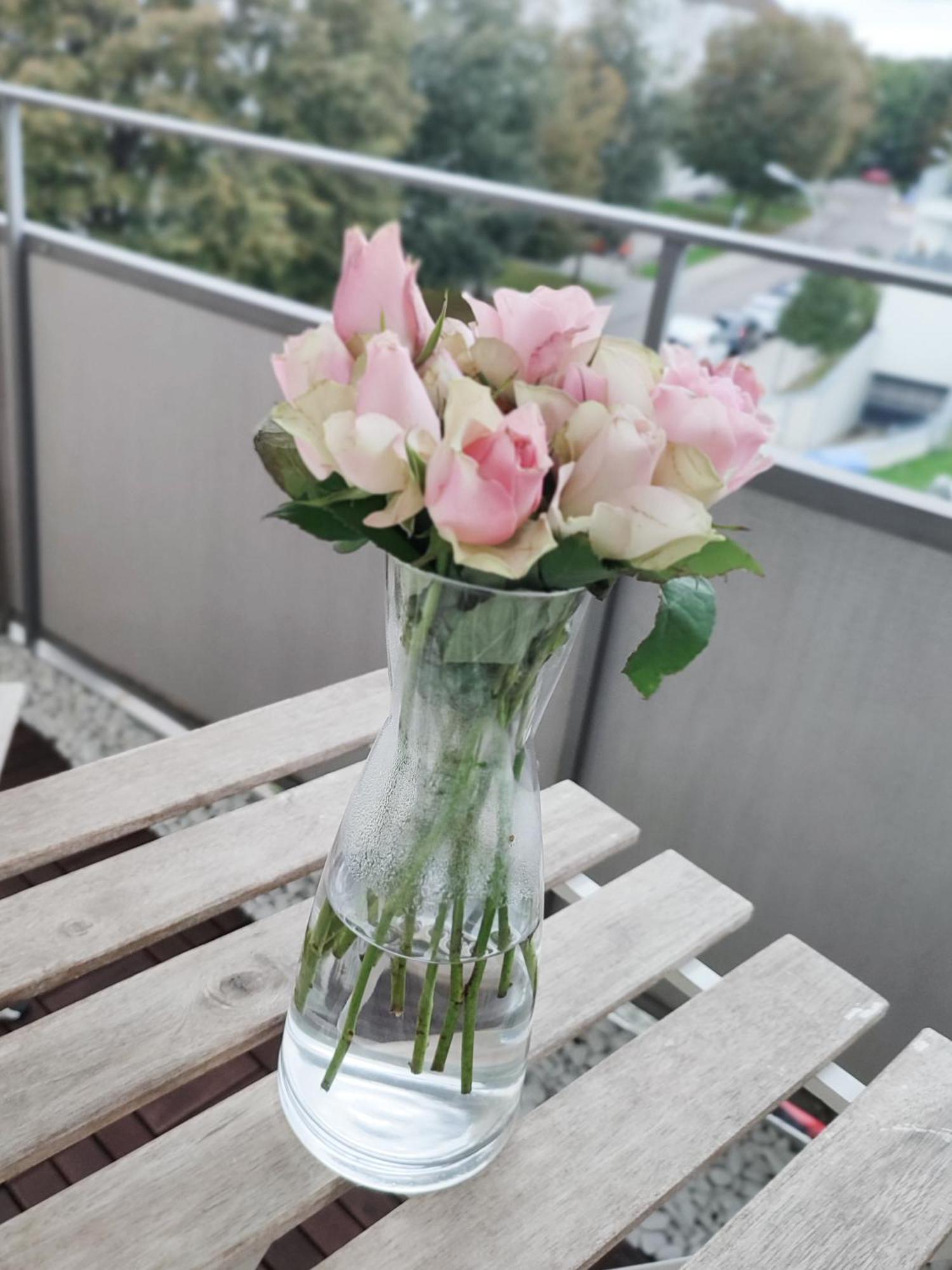 Business & Leisure Apartment Ingolstadt Luaran gambar